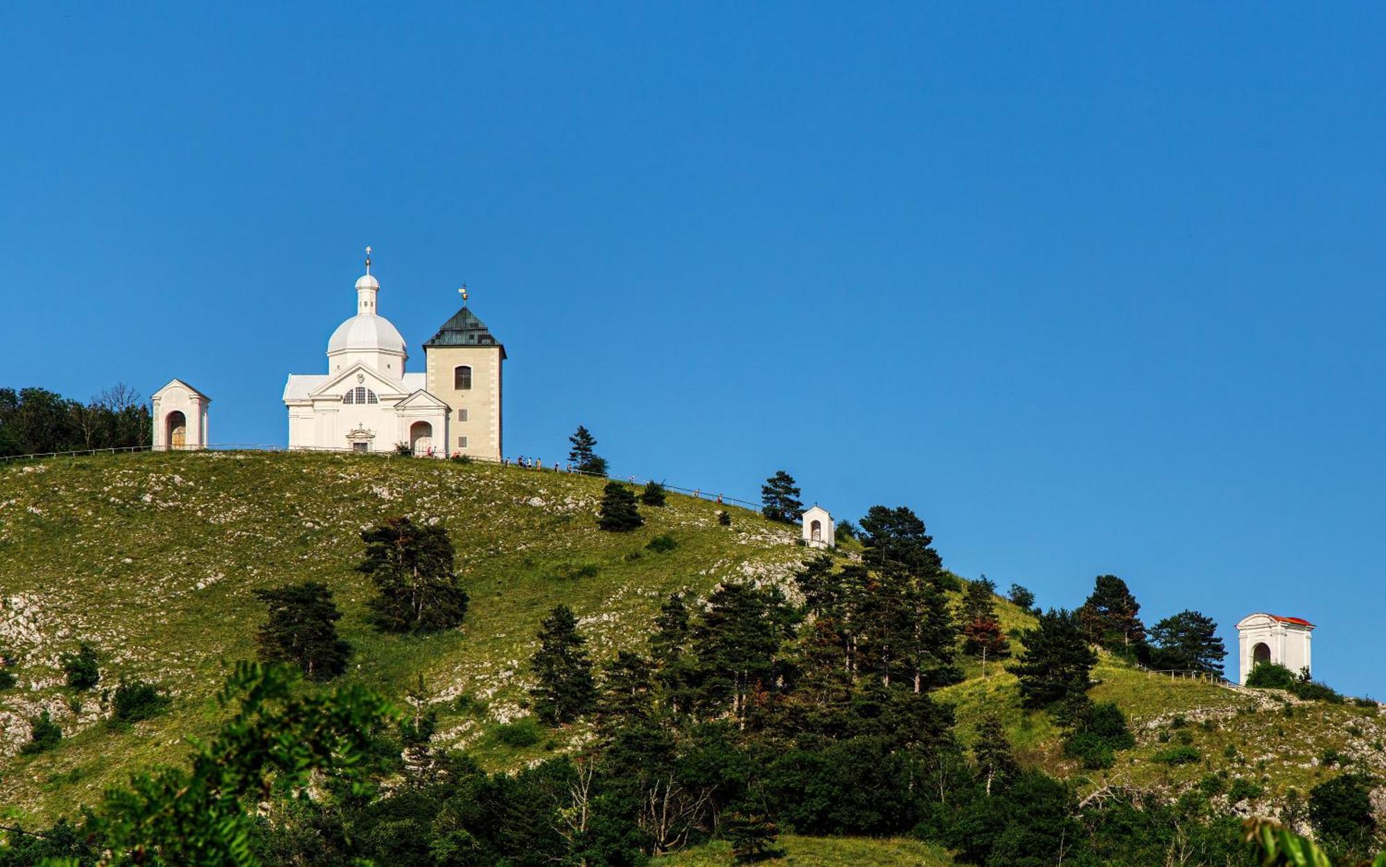 Penzion Terasa Cibulka Mikulov Dış mekan fotoğraf
